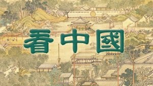 明珠：溫總理請不要跟鞋子鬥氣